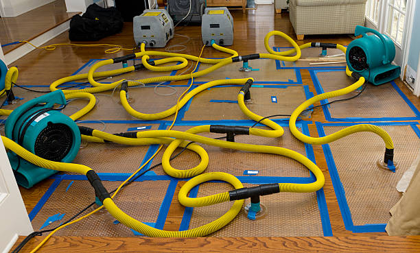 Professional Burst Pipe Water Damage technician working in Colome, SD